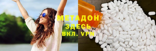 индика Тавда