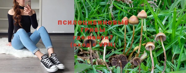 a pvp Сясьстрой