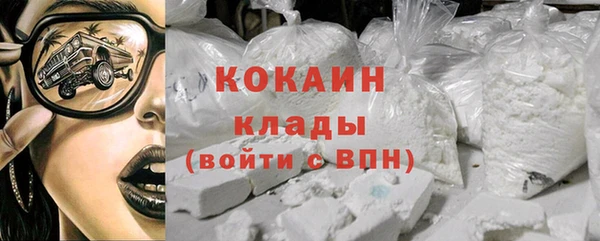 хмурый Тайга